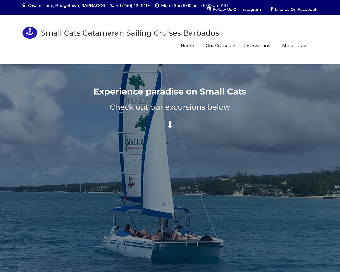 Small Cats Sailing & Turtle Tours