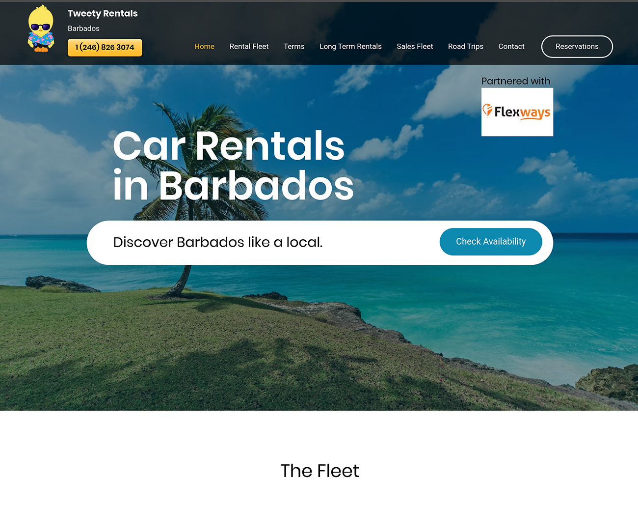 Tweety Car Rentals