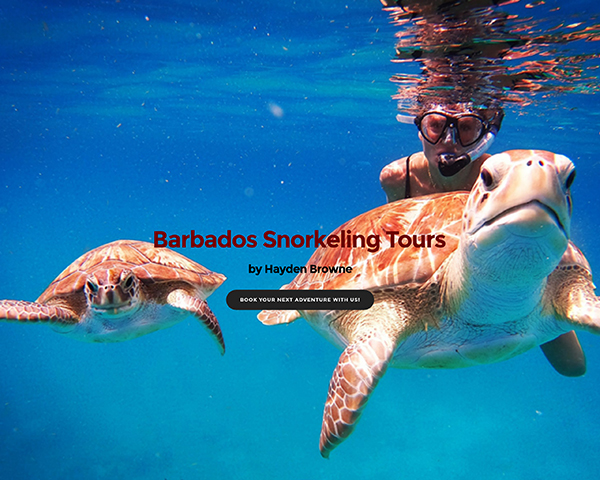 Barbados Snorkeling Tours by Hayden Browne